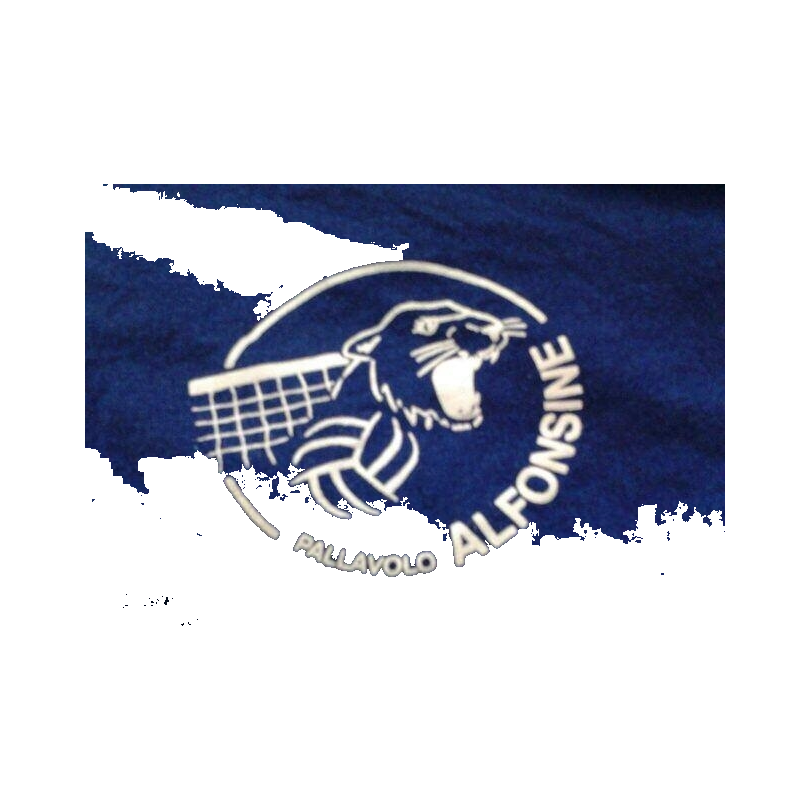 PALLAVOLO ALFONSINE