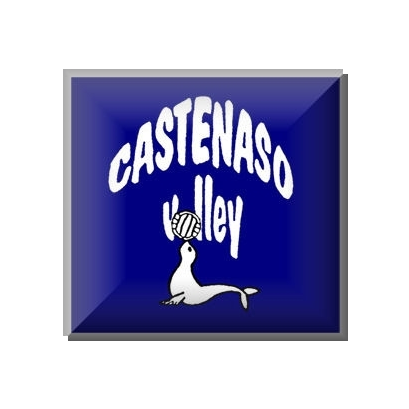 RIBANI CASTENASO VOLLEY
