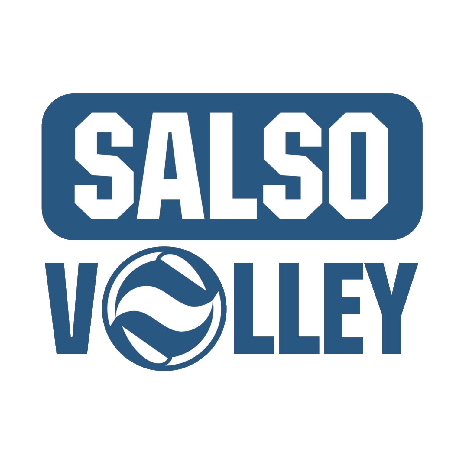 SALSOVOLLEY PALLEX PR